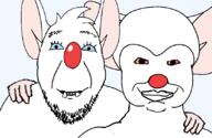 animal animaniacs artist:salsamaster cartoon chud_troon_alliance friendship pinky_and_the_brain rat red_nose rodent variant:bernd variant:chudjak // 834x541 // 134.8KB