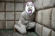 crazy schizo straightjacket tranny variant:bernd // 540x360 // 228.0KB