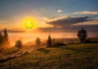 cloud forest glasses grass nature sky sonnenrad stubble subvariant:wholesome_soyjak sun sunrise tree variant:gapejak // 1280x908 // 1.4MB