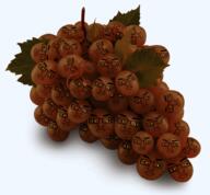 brown_skin fnf_pedo glasses grape grapes leaf subvariant:chudplier variant:markiplier_soyjak vine yellow_sclera // 912x847 // 344.0KB