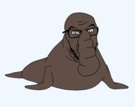 animal elephant_seal full_body glasses penis_nose series:animaljaks soyjak stubble trunk variant:feraljak // 1920x1516 // 34.2KB