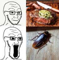 bug glasses meat neutral open_mouth soyjak steak stubble variant:soyak // 524x533 // 467.1KB