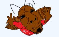antenna black_sclera brown_skin cockroach flag:turkiye glasses hand hands_up shocked turkiye turkroach tvrkaryan variant:fisheyejak wing // 1024x640 // 64.4KB