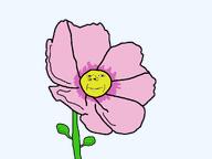 face flower plant soyjak transparent_background variant:gapejak // 1080x810 // 34.8KB