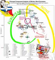 bloodshot_eyes dna europe greece israel jordan kike meta:tagme more sicily slavic subvariant:feralrage variant:chudjak variant:feraljak // 1192x1280 // 634.4KB