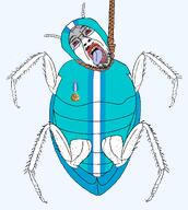 gem ack cockroach gempass hanging rope variant:bernd // 2329x2601 // 534.6KB