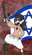 artist:Thomas_Hancock drawing israel israeli israeli_flag soytan_will_always_be_a_gemerald variant:soytan // 936x1600 // 1.2MB