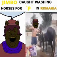 horse jimbo_(namefag) jimbo_(user) meta:namefags nigga niko_(oneshot) oneshot romania variant:alicia // 720x720, 13s // 12.6MB