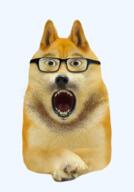 animal dog doge glasses open_mouth soyjak stubble variant:unknown // 640x916 // 516.9KB