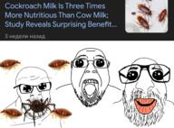 3soyjaks beard bug cockroach cockroach_milk eat_the_bugs glasses jewish_nose milk oh_my_god_she_is_so_attractive open_mouth sisa soyjak spider stubble text variant:bernd variant:feraljak variant:israeli_soyjak you_will_eat_the_bugs // 1280x944 // 842.6KB
