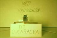 dj_cucaracha music roach turkiye turkroach variant:phillip video // 1602x1064, 28.7s // 17.6MB