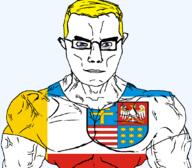 animal arm bird blue_eyes buff christianity closed_mouth clothes country eagle flag flag:świętokrzyskie glasses hair poland soyjak star_(symbol) subvariant:chudjak_front subvariant:muscular_chud transparent transparent_background tshirt variant:chudjak vein voivodeship yellow_hair świętokrzyskie // 1059x929 // 105.2KB