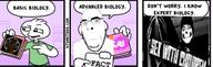 atomwaffen_division biology book fact flag holding_book holding_object order_of_nine_angles pedophile pink_hair pointing schizo skull_mask soldier soyjak stonetoss stubble text variant:cobson white_skin // 1247x398 // 77.2KB