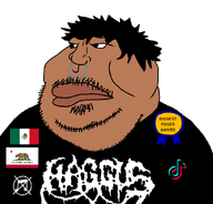 award brown_skin flag:california flag:mexico metal_(music) tiktok variant:meximutt // 886x849 // 97.1KB