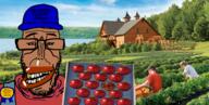 apple award beard big_lips brown_skin crying european european_union farm farmer flag flag:european_union glasses happy hatt most_obsessed_faggot_award mutt red_eyes shitskin star_(symbol) subvariant:euromutt subvariant:wholesome_soyjak suspenders sweater teeth variant:gapejak variant:markiplier_soyjak variant:wojak // 2560x1290 // 4.5MB