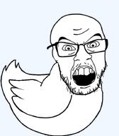 angry animal duck glasses open_mouth raised_eyebrow raised_eyebrows series:animaljaks series:fusionjaks stubble subvariant:smugquack teeth template transparent_background variant:feraljak variant:soyak // 627x716 // 91.6KB