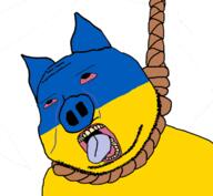 animal bloodshot_eyes country crying ear flag hanging oink open_mouth pig rope soyjak stubble subvariant:massjak subvariant:wholesome_soyjak suicide tongue tranny ukraine variant:gapejak yellow_teeth // 757x696 // 143.8KB