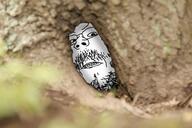 closed_mouth dirt frown glasses irl mustache soyjak stubble variant:gapejak // 2560x1707 // 2.7MB