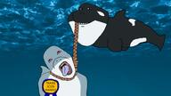 animal award bite blahaj crying fins fish hanging incomprehensible_woahjack killer_whale noose open_mouth orca shark snout tranny underwater variant:bernd variant:impish_soyak_ears water // 928x520 // 467.1KB