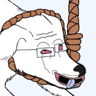 ack animal bloodshot_eyes crying dog glasses hanging kiwifarms null null_(kiwifarms) open_mouth rope stubble suicide tongue transparent_background variant:clitty_leaker wikihow yellow_teeth // 1080x1080 // 115.3KB