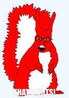 animal animated colorful epilepsy ext=gif flashing fur glasses nigga_thats_nuts schizo squirrel subvariant:feralsquirrel tail variant:feraljak // 846x1200 // 788.1KB