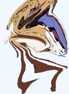 averi incomprehensible_woahjack o_algo subvariant:ackmutt subvariant:trannyfur trend:slopjak variant:bernd woahjack // 1488x2048 // 796.7KB