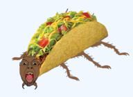 abomination mexico mutt nigger shitskin spicroach subhuman tacoroach total_mexican_death total_meximutt_death variant:bernd // 474x347 // 132.9KB