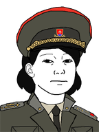 female general kuz meta:oc_but_kinda_not_oc military_uniform millitary officer officer_cap shirts slovakia subvariant:female_kuz uniform variant:kuzjak // 810x1080 // 233.6KB