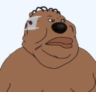 angry animal artist:salsamaster bandage beaver blood bruise cartoon china chinese_beaver get movie quads subvariant:chinkmutt variant:meximutt // 888x849 // 32.2KB