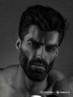 animated gigachad meta:ai_generated nas:gigachad penguin petting // 320x420 // 7.4MB animated gigachad meta:ai_generated nas:gigachad penguin petting // 320x420 // 7.4MB