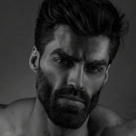 animated gigachad meta:ai_generated nas:gigachad penguin petting