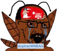 avengers beanie blue_eyes blush clothes crying dress eyelashes eyes_like_the_o-o-cean female flag:turkiye food full_body glasses hair hat hindflea hindroach hindu india indian jeet long_hair necklace nintendo nintendo_switch no_nose open_mouth pajeet shoe sloptranWNBAG_(namefag) soy soyjak soylent soylent_(cacao) turkiye variant:soytan video_game wave waving yellow_teeth // 1750x1555 // 1.4MB