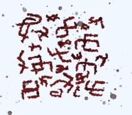 meta:tagme // 273x238 // 32.1KB