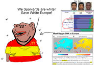 amerimutt arab brown_skin genetics mediterrenean nigger spain spanish subvariant:impish_amerimutt variant:impish_soyak_ears // 2200x1536 // 1.1MB