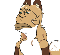 angry averi brazil fiddleafox fox furry furry_artist furry_ears furry_female series:muttverse skinny subvariant:brazilmutt tail variant:meximutt // 888x818 // 57.0KB