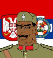 Indo_serbian dravidian_volk milan_nedić nedicism serbia // 515x563 // 191.0KB