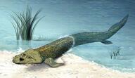evolution fish glasses open_mouth soyjak stubble tiktaalik variant:soyak // 800x462 // 86.4KB