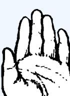 finger hand meta:template palm stop template transparent_background // 224x308 // 3.9KB