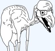 'o bird chicken chicken_factory_('o) eyes glasses leg open_mouth stubble variant:unknown // 775x712 // 21.0KB