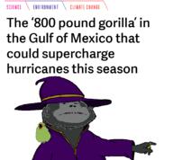 animal arm bird bleppsama ear frown glasses grey grey_skin hair hand monkey open_mouth parrot pointing ring robe soyjak stubble subvariant:massjak subvariant:wholesome_soyjak text variant:gapejak variant:markiplier_soyjak wizard_hat // 1077x1000 // 109.3KB