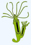 2soyjaks animal closed_eyes full_body glasses green_skin hydra open_mouth series:animaljaks stretched_mouth stubble tentacle variant:reaction_soyjak // 1308x1920 // 206.1KB