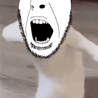 animal animated bald cat dance ext=gif glasses irl irl_background open_mouth soyjak spanish_text stubble text variant:cobson // 211x373 // 1.8MB