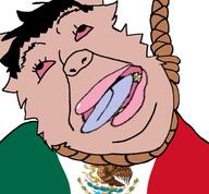 ack chud_(boorufag) chud_(soybooru) fat flag:mexico gynaecomastia subvariant:trannyfur variant:bernd // 760x704 // 209.8KB