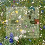 blue_hair buff colorful_hair rage tiktok variant:chudjak video wojak // 576x576, 16.9s // 2.4MB