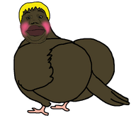 ass big_lips bird blond blush brown_skin eyebrows hair lips looking_at_you meta:not_oc nate_higger's_distant_cousin_(cape_rrackers) nose red_lips shitskin subvariant:hunky_twink_sex_machine transparent_background variant:alicia wrinkles yellow_hair // 765x661 // 46.9KB