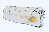 animal salp variant:gapejak // 1700x1132 // 83.0KB