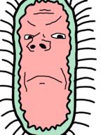 angry bacteria objectsoy science soyjak variant:gapejak // 600x800 // 100.2KB
