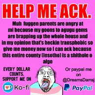 bloodshot_eyes crying flag:transgender_pride_flag open_mouth pink_background rope soyjak suicide text tongue tongue_out tranny variant:bernd wordswordswords xitter // 1080x1080 // 469.4KB