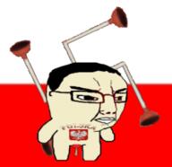 angry animated flag flag:poland full_body glasses goonhitler hair plunger poland soyjak swastika variant:chudjak white_skin // 323x313 // 72.1KB
