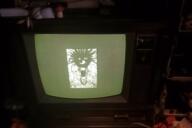 animated crt hair irl multiple_eyes open_mouth schizo soyjak stretched_mouth stubble subvariant:schizojak television variant:markiplier_soyjak // 600x400 // 10.0MB